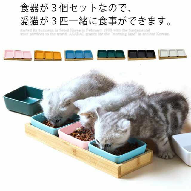 フードボール 猫 エサ パステルカラー 動かない 餌皿 ご飯 猫 犬 ペット シンプル インテリア 3個セット 子猫用