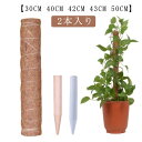 2本入り 観葉植物 ポトス 園芸支柱 天然 ココナッツ支柱 植物支柱 30CM 40CM 42CM 43CM 50CM ココナッツ支柱 園芸支柱 天然 ココナッ...