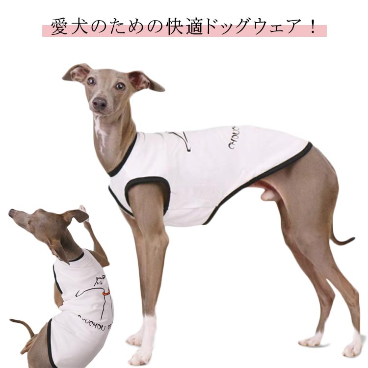 楽天市場】イタグレ 服 タンクトップの通販