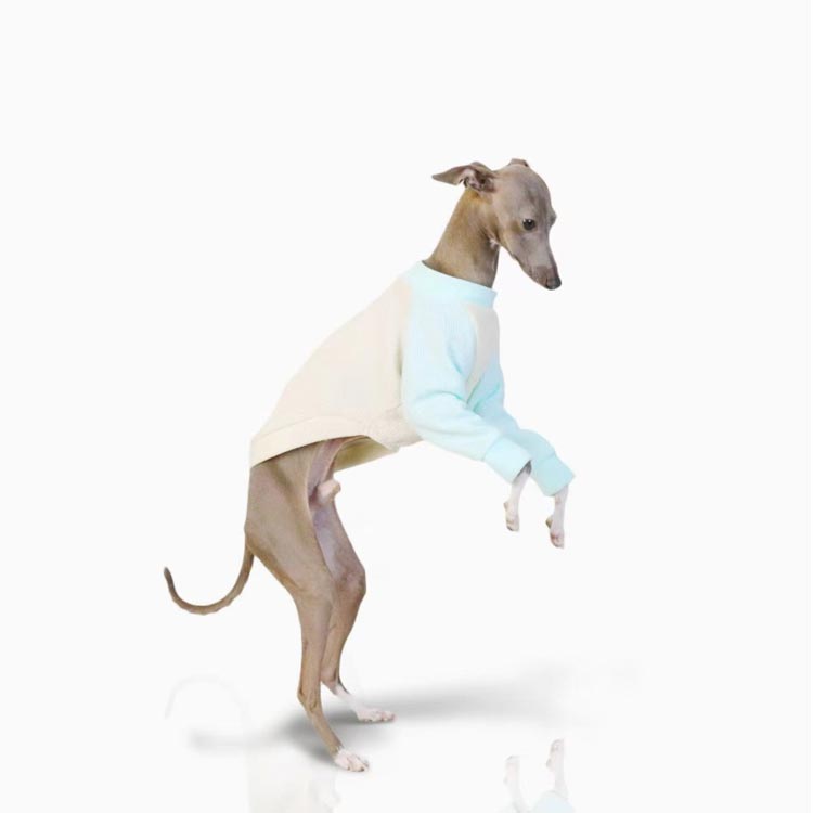 XL S ワッフルシンプル イタリアングレーハウンド 長袖 M L 3XL 2XL イタグレ 犬服...