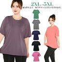 ヨガウェア トップス 半袖 ヨガtシャツ レディース ヨガトップス ピラティス ウェア おしゃれ 体型カバー速乾 薄手 伸縮性 かわいい スポーツ フィットネス...