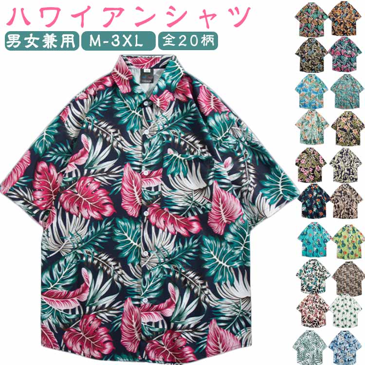 ��20�� �����ϥ���� ��� ��ǥ����� �ϥ磻���󥷥�� Ⱦµ����� ��������� ���� ���ߥ���� �ȥåץ� �����奢�륷��� ������� �ڥ���å� �˽���...