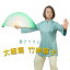 【太極拳・カンフー】フレア太極拳扇子 太極扇【竹製】 太極扇子竹製 単扇子 ダンス扇子 よさこい扇子..
