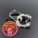 【期間限定おまけ付き!】DYNATEK ダイナテック ダイナS イグニションKIT