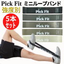 【公式】Pick Fit ミニループバンド