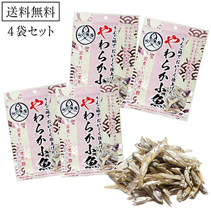 りんご酢で美味しく仕上げたやわらか小魚 4袋 送料無料 メール便 カルシウム たっぷり 栄養 健康 いりこ ポイント消化 ポッキリ ぽっきり りんご酢 小魚 国産 いわし イワシ 煮干し にぼし 子…