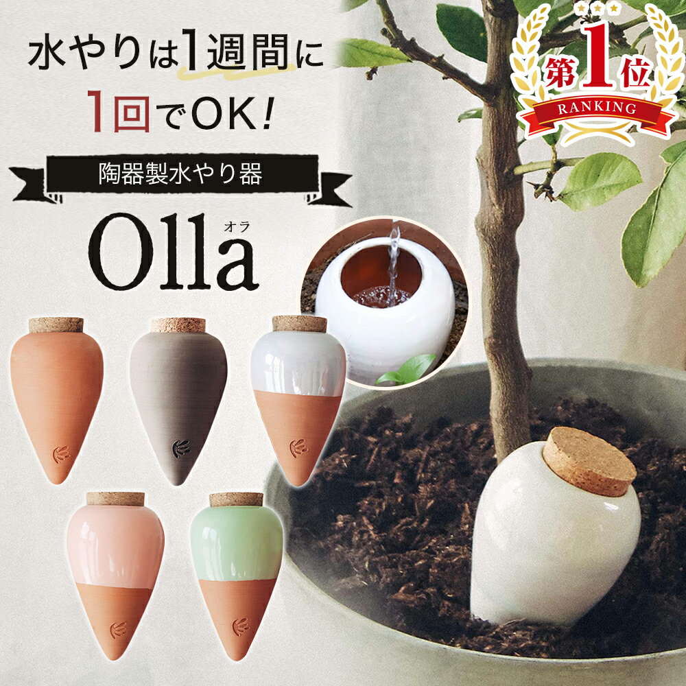 フランス直輸入！鉢植え 水やり 自動 陶器 素焼き 水やり器 観葉植物 Olla