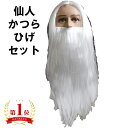 仙人 神様 魔法使い かつら ひげ 白髪 ウィッグ 長髪 コスプレ 爺さん 老人 仮装 おもしろ 余興用 演劇 イベント ハロウィン クリスマス
