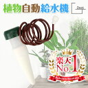 【楽天1位】 水やりキャップ 自動給水機 水やり器 給水器 観葉植物 自動 サイフォン式 園芸 植物 植木鉢 簡単取り付け 便利 留守 水遣りチェッカー 水やりチェッカー ガーデニング 家庭菜園 盆栽 旅行 帰省 出張 (ひも付き 4~20個セット)