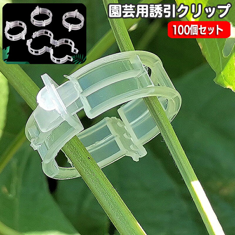 植物の成長をサポートする、園芸用クリップ100個セットです。 ワンタッチで植物の茎を支柱に留められます♪ 茎の誘引が手軽にでき、植物を絞め付けずにキープできます☆ 【サイズについて】 画像をご参照ください。 【カラーについて】 生産ロットにより柄の出方や色の濃淡が異なる場合がございます。 お使いのモニターや撮影時の光の加減などにより 画像と実際の商品のカラーが異なる場合もございます。 予告なしにカラーやデザインなどの変更がある場合もございます。 【素材について】 PP