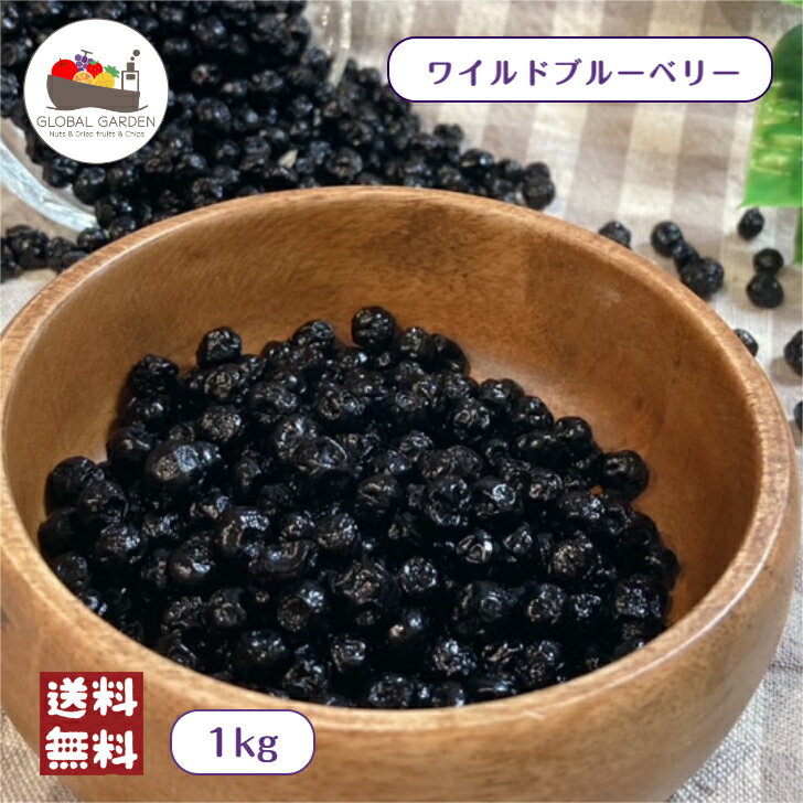 ドライ ワイルドブルーベリー 1kg (500g×2袋) ドライフルーツ チャック付保存袋 ブルーベリー ベリー グラノーラ シリアル ヨーグルト 製菓 製パン スイーツ お菓子作り メール便 送料無料