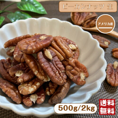 ピーカンナッツ 生 500g 2kg 無塩 無油