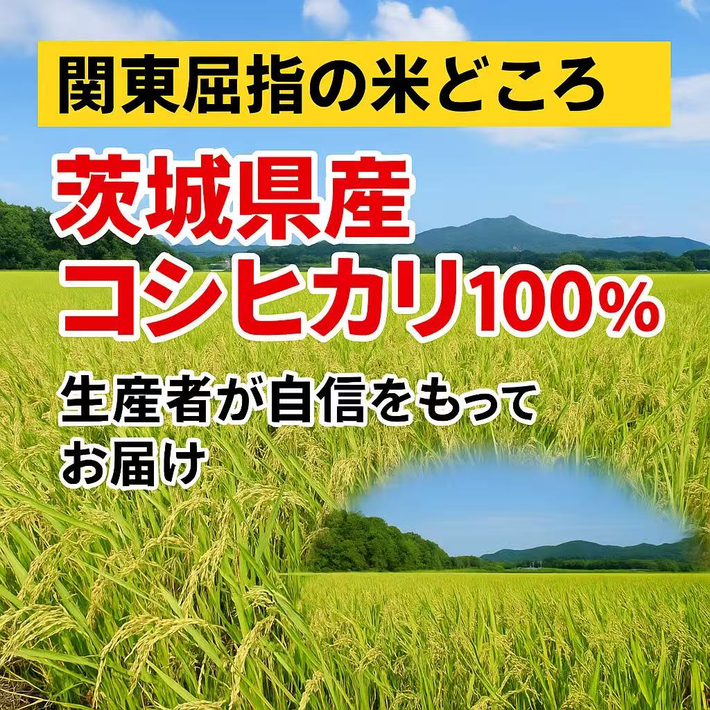 【送料無料】茨城県産コシヒカリ 5kg 特価4,980円（税込） 家計応援！令和6年産 新米／まとめ買い割引あり