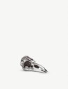 SELETTI _[J}[ A~jE o[h XJ XJv`[ Wunderkammer aluminium bird skull sculpture