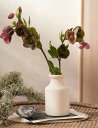 THE WHITE COMPANY セラミック バッド クレイベース Cearamic bud clay vase NATURAL