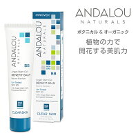 【公式】ANDALOU NATURALS アンダルー ナチュラルズ「オイルコントロールBB　ティント無し」SPF30 ボタニカル オーガニックBBクリーム BB 下地 UVカット コスメ スキンケア 脂性肌 クリアスキン フルーツ 幹細胞 クリアスキン