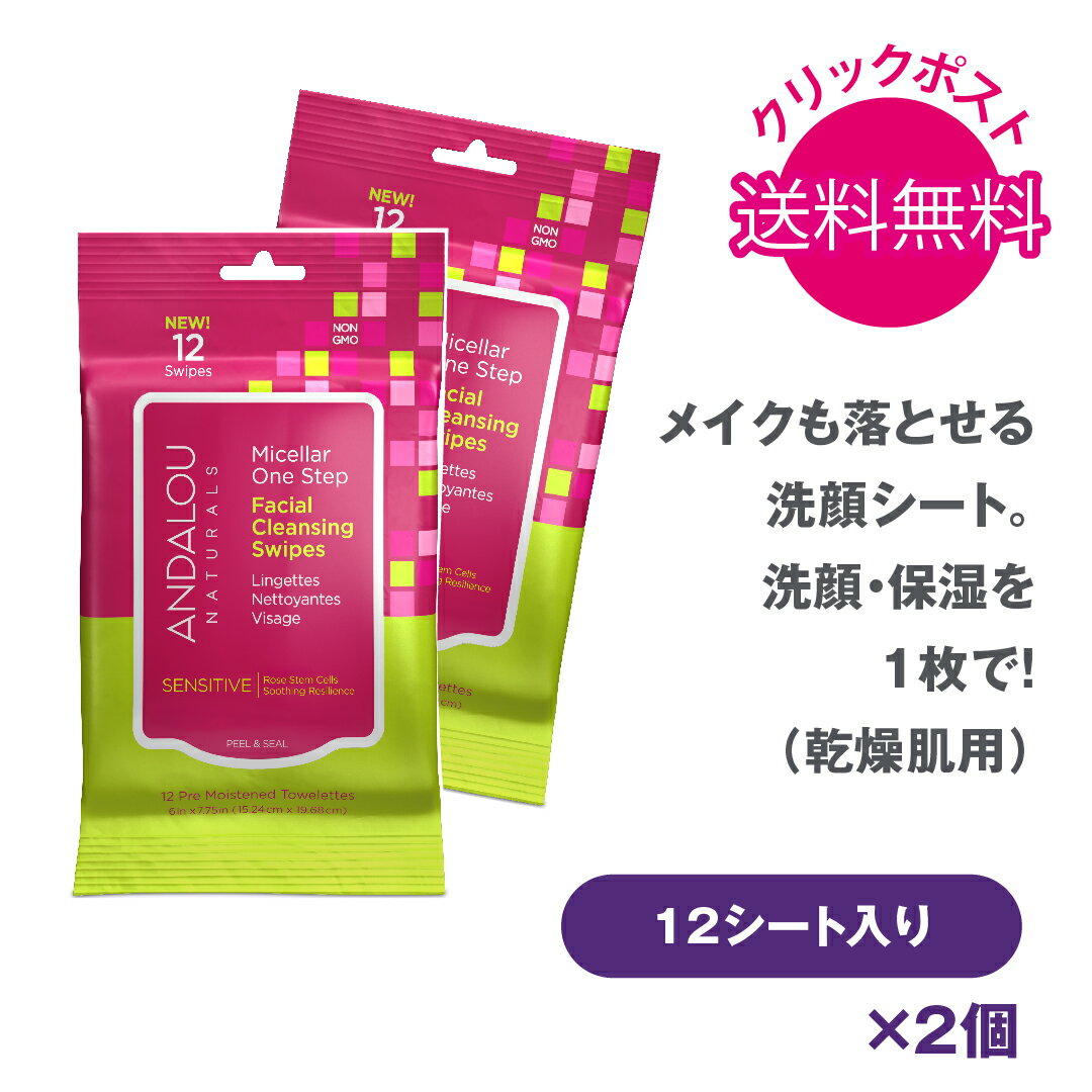 1000円ポッキリ 送料無料 ANDALOU Sミセラスワイプ 12枚入り×2個 正規輸入品 クレンジングシート アン..