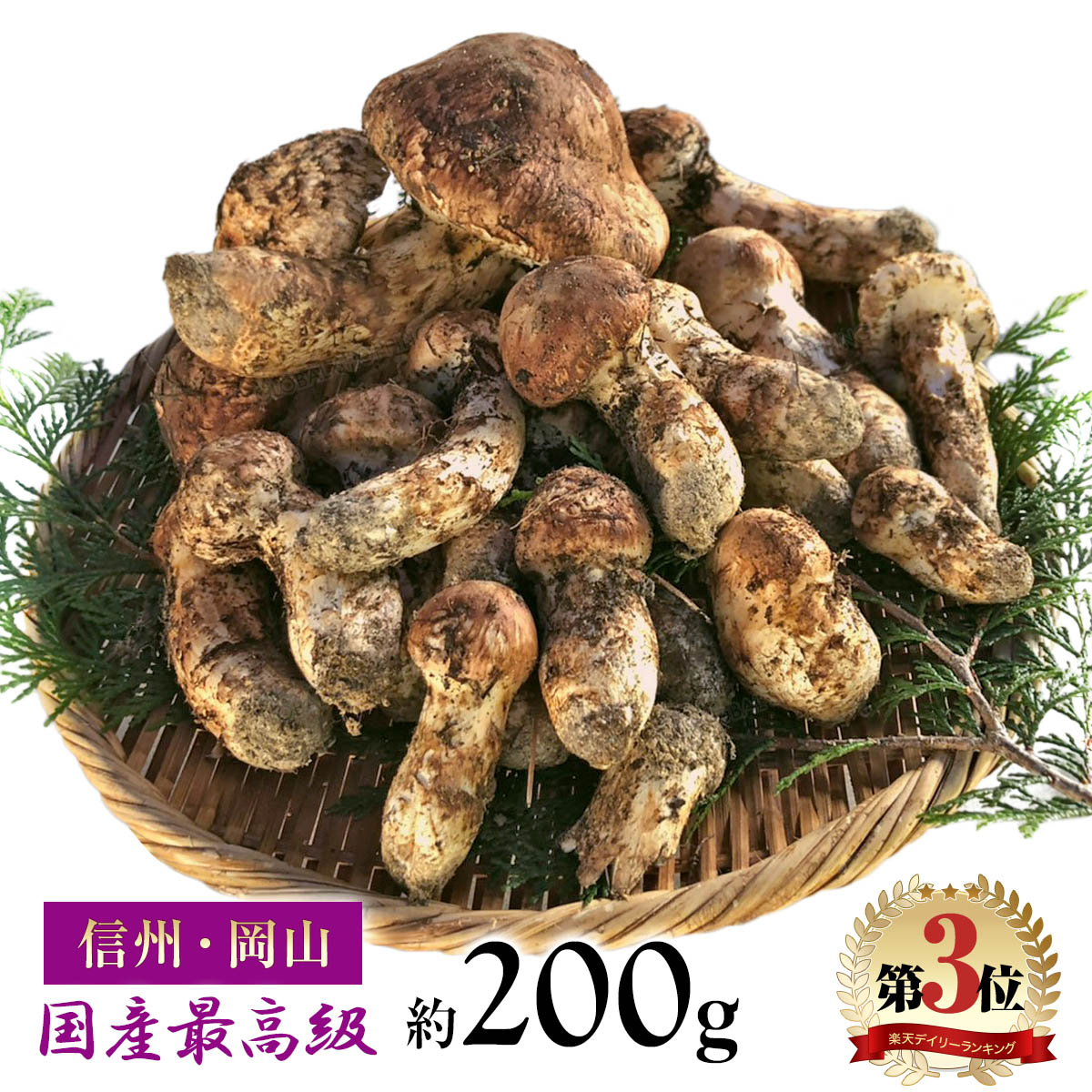 松茸 国産 約200g 最高級 天然 信州産 / 岡山産 つぼみ・中つぼみ・開き set 長野県 下伊那 松川町産 / 岡山県 美作市 まつたけ マツタケ キノコ きのこ ギフト 贈答 贈答品 野菜ギフト ご贈答用【まつたけ小屋 梅松苑】