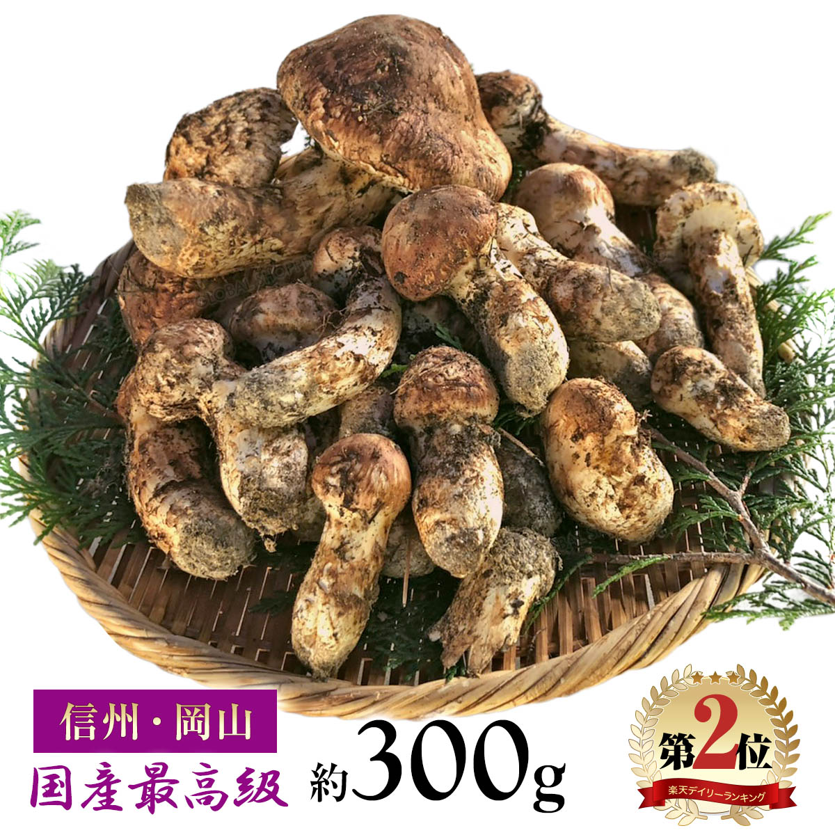 松茸 国産 約300g 最高級 天然 信州産 / 岡山産 つぼみ・中つぼみ・開き set 長野県 下伊那 松川町産 / 岡山県 美作市 まつたけ マツタケ キノコ きのこ ギフト 贈答 贈答品 野菜ギフト ご贈答用【まつたけ小屋 梅松苑】