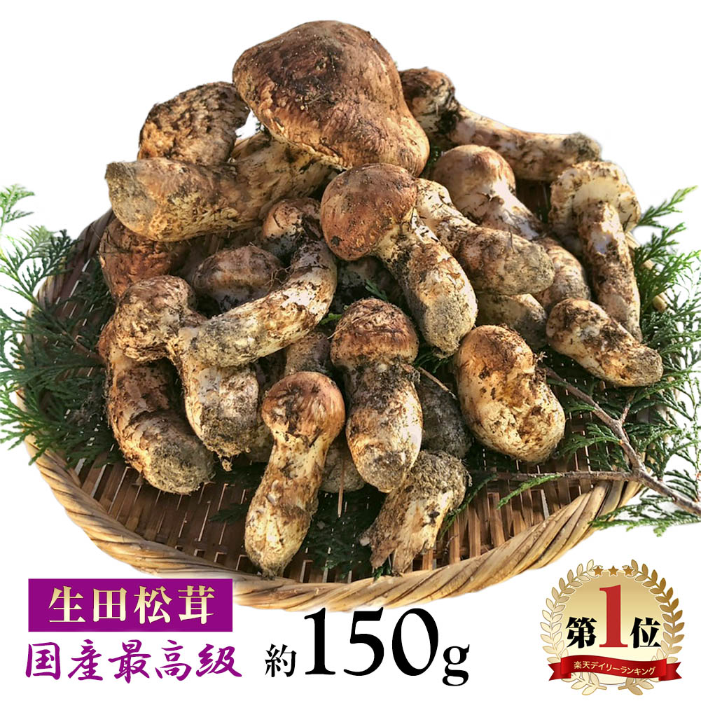 松茸 国産 約150g 最高級 天然 信州産 / 岡山産 つぼみ・中つぼみ・開き set 長野県 下伊那 松川町産 / 岡山県 美作市 まつたけ マツタケ キノコ きのこ ギフト 贈答 贈答品 野菜ギフト ご贈答用【まつたけ小屋 梅松苑】