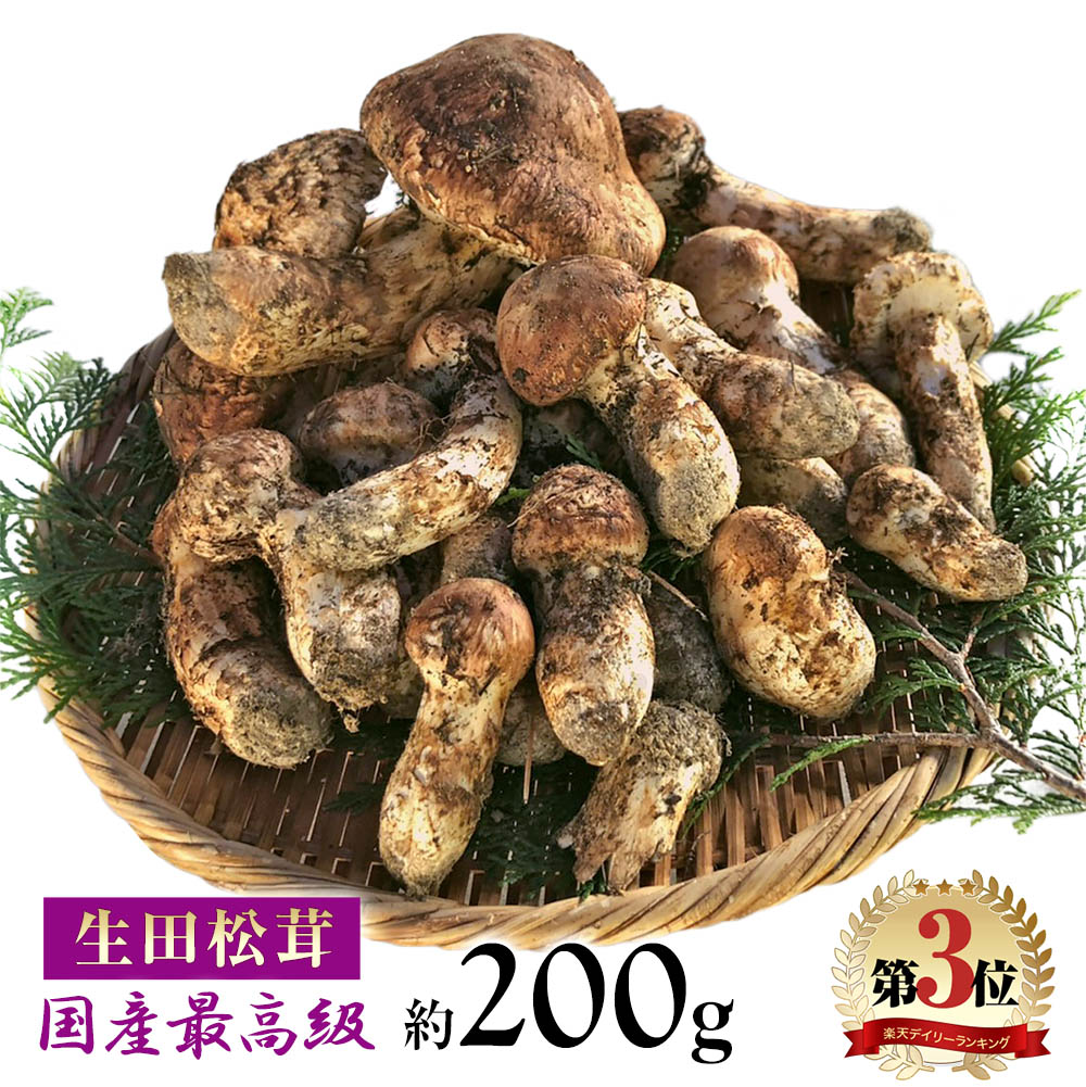 【早特！8月末までのご予約でP10倍！】松茸 国産 約200g 最高級 天然 信州産 / 岡山産 つぼみ・中つぼみ・開き set 長野県 下伊那 松川町産 / 岡山県 美作市 まつたけ マツタケ キノコ きのこ ギフト 贈答 贈答品 野菜ギフト ご贈答用【まつたけ小屋 梅松苑】