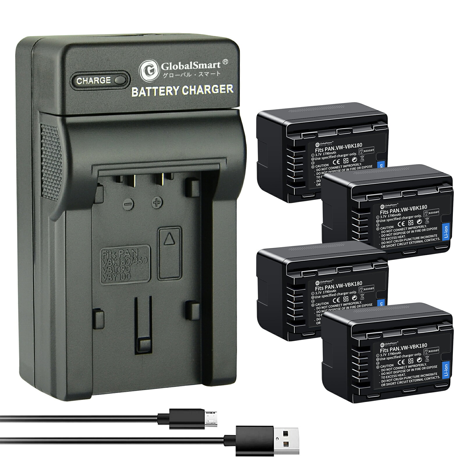 【USB充電器と電池4個】Panasonic HDC-TM2