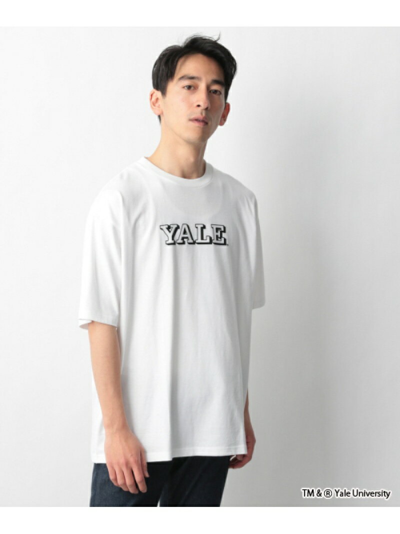 【SALE／57%OFF】(M)YALE_SUNNY_PRT-T SUNNY SPORTS グローバルワーク トップス カットソー・Tシャツ ホワイト ブルー ベージュ【RBA_E】[Rakuten Fashion]のサムネイル