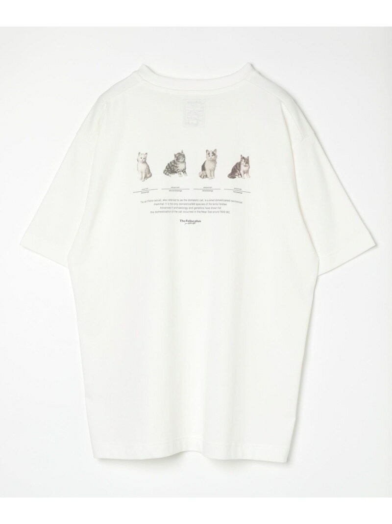 乐天商城 - 【SALE／50%OFF】グラフィックTシャツ2/半袖/492473 GLOBAL WORK グローバルワーク トップス カットソー・Tシャツ ホワイト ブラック グレー ネイビー【RBA_E】[Rakuten Fashion]