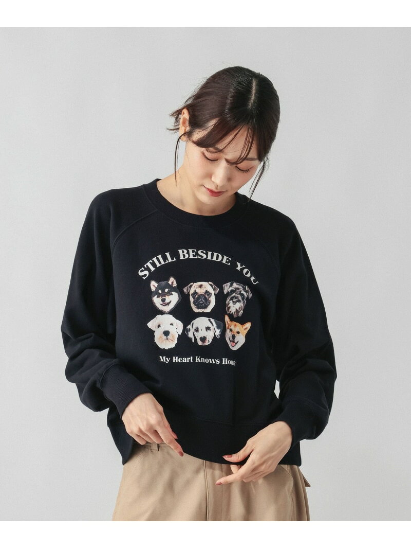 FF/スウェット/1068086 GLOBAL WORK グローバルワーク トップス カットソー・Tシャツ ブルー ピンク ホワイト ネイビー ブラック グレー【送料無料】[Rakuten Fashion] globalwork-10024375 GLOBAL WORK/グローバルワーク サンプル画像3
