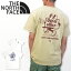 THE NORTH FACE Tシャツ メンズ ノースフェイス 半袖Tシャツ バックプリント アウトドア イラスト カジ..