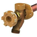 Woodford モデル 17 壁蛇口 12 インチ CP インレット メタルハンドル 17CP-12-MH Woodford 17CP-12-MH Model 17 Wall Faucet, 12-Inch, CP Inlet, Metal Handle(3)