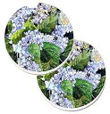 Caroline's Treasures 8730CARC Hydrangea Set of 2 Cup Holder Car Coasters Absorbe...