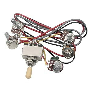 ϡͥ Ѥ 2 ܥ塼 2 ȡ 4-500k ݥå LP  JIUWU Guitar Wiring Ha...