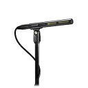 オーディオテクニカ AT875R ライン&グラディエントコンデンサーマイク(リニューアル) Audio-Technica AT875R Line and Gradient Condenser Microphone(Renewed)(2)