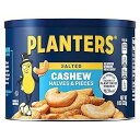 PLANTERS Salted Cashew Halves & Pieces, Party Snacks, Plant-Based Protein 8oz (1...