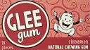 Glee Gum オールナチュラル シナモンガム、非遺伝子組み換えプロジェクト認証済み、環境に優しい、16 個箱、12 個パック Glee Gum All Natural Cinnamon Gum, Non GMO Project Verified, Eco Friendly, 16 Piece Box, Pack of 12(4)