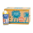CocoGoods Co シングルオリジン ナチュラル ココナッツ ウォーター フレッシュ パイナップル ジュース入り 16.9 fl. オンス、12パック COCOGOODSCO CocoGoods Co Single-Origin Natural Coconut Water with Fresh Pineapple Juice 16.9 fl. oz, 1