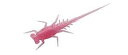 13 フィッシング - バーニー - パンフィッシュ プラスチック - バブルガム - 6 個パック - BN-BG 13 FISHING - Bernie - Panfish Plastics - Bubble Gum - 6 pack - BN-BG