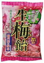 りぼん 生梅ハードキャンディー、3.87オンス Ribon Nama Ume Plum Hard Candy, 3.87 Ounce