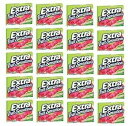 エクストラフルーツセンセーションガム スイートスイカ味 15個入り20パック。スティック合計 300 本 Extra Fruit Sensation Gum, ...