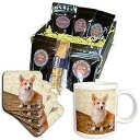 3dRose Pembroke Welsh Corgi Coffee Gift Basket, Multi