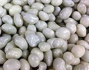 åĥǥåΥꥷ衼ȥС졼5ݥ Greek Yogurt Covered Raisins by Its Del...