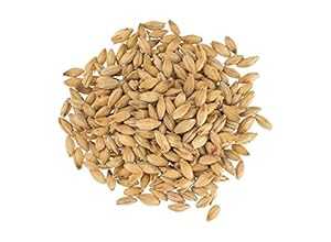 ֥塼ޥ GR352E  - ٥  ޥꥹ å ڡ  - 5 LB Brewmaster-GR35...
