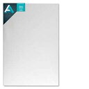 Art Alternatives Art Altrn Studio Stretched Canvas 20x30