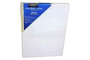 Sargent Art 90-2018 9x12-Inch Stretched Canvas, 100% Cotton Double Primed