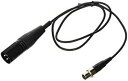 Samson AX3 XLR オス - P3 メス ケーブル Samson AX3 XLR Male to P3 Female Cable(2)