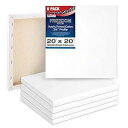 U.S. Art Supply 20 x 20 inch Stretched Canvas 12-Ounce Triple Primed, 6-Pack - P...