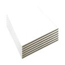 LWR CRAFTS ストレッチキャンバス 10インチ x 10インチ 6枚パック LWR CRAFTS Stretched Canvas 10