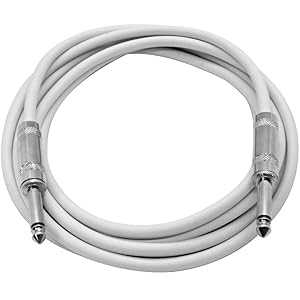 Seismic Audio - SASTSX-10White - 10 ե ۥ磻 1/4  TS ѥå ֥ - 10...