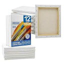 FIXSMITH Stretched Canvas for ting- 8x10 Inch,Bulk Pack of 12,Primed,100% Cotton...
